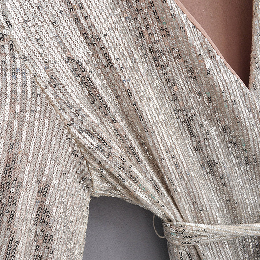 Long sleeve sequin lace dress